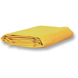Disposable Blanket